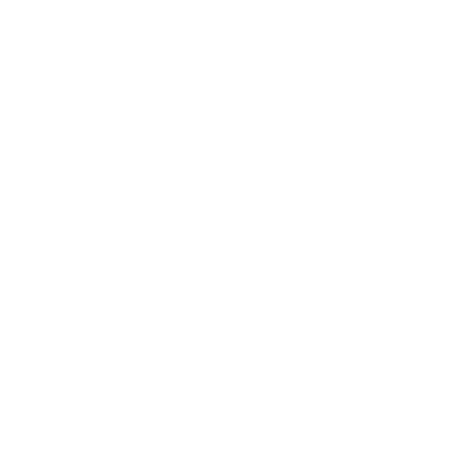 Auto Insights Logo